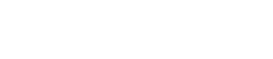 TwinMeta Logo
