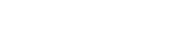 TwinMeta Logo
